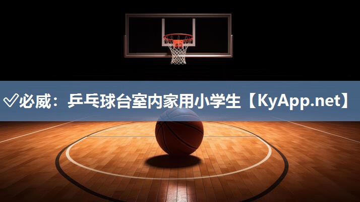 ?必威：乒乓球臺室內家用小學生
