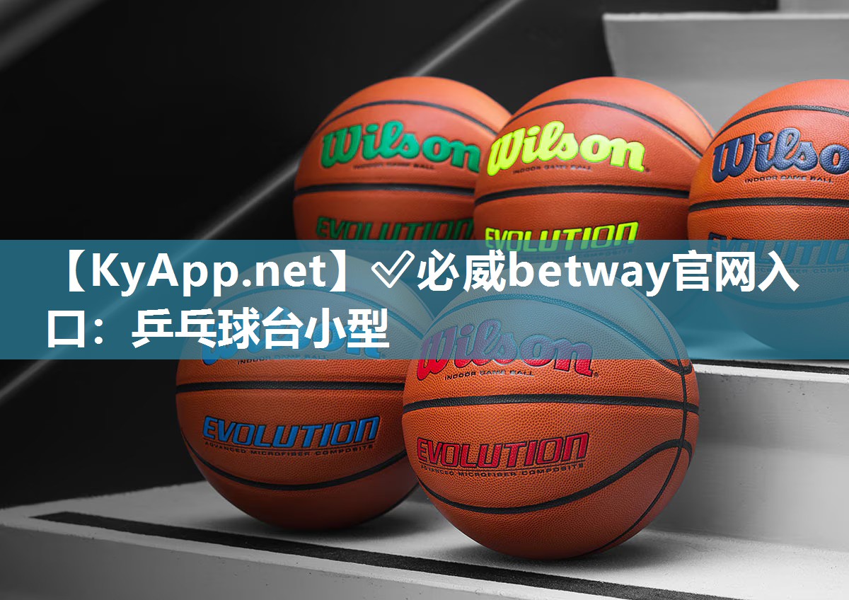 ?必威betway官網入口：乒乓球臺小型
