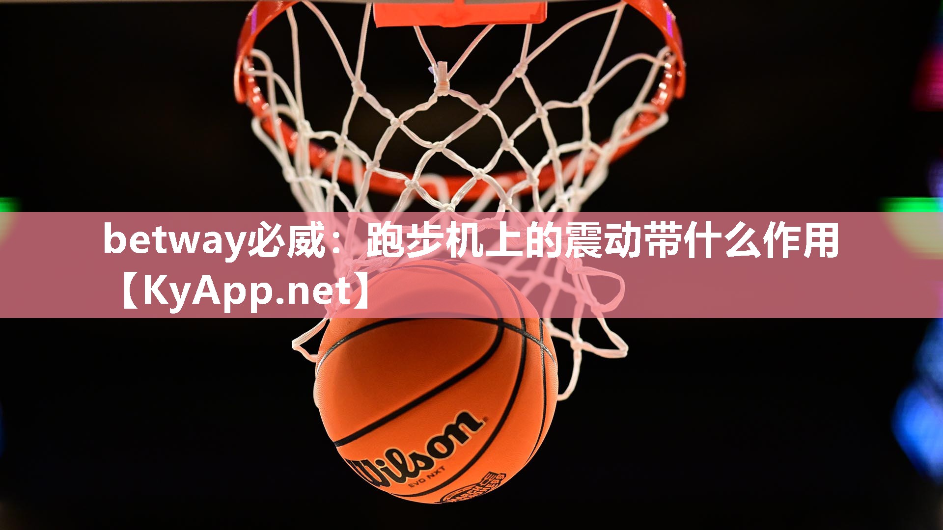 betway必威：跑步機上的震動帶什么作用