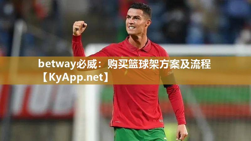 betway必威：購(gòu)買籃球架方案及流程