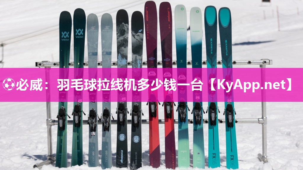 ?必威：羽毛球拉線機多少錢一臺