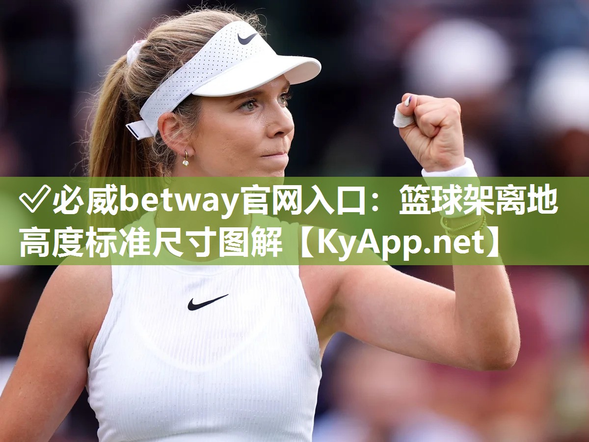 ?必威betway官網入口：籃球架離地高度標準尺寸圖解