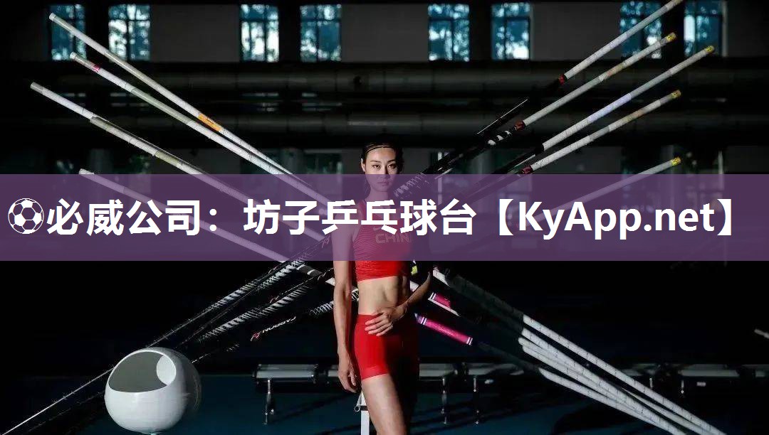 坊子乒乓球臺