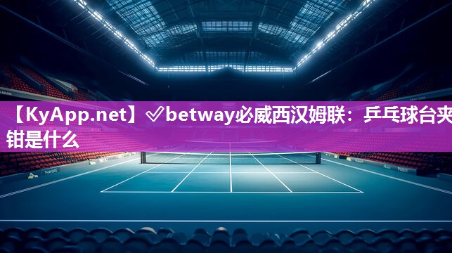 乒乓球臺夾鉗是什么