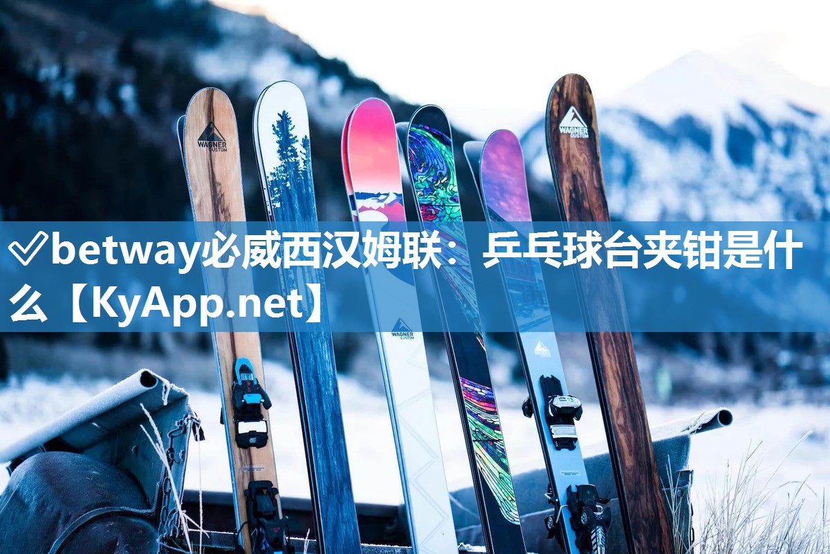 乒乓球臺夾鉗是什么