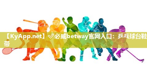 乒乓球臺鞋帶
