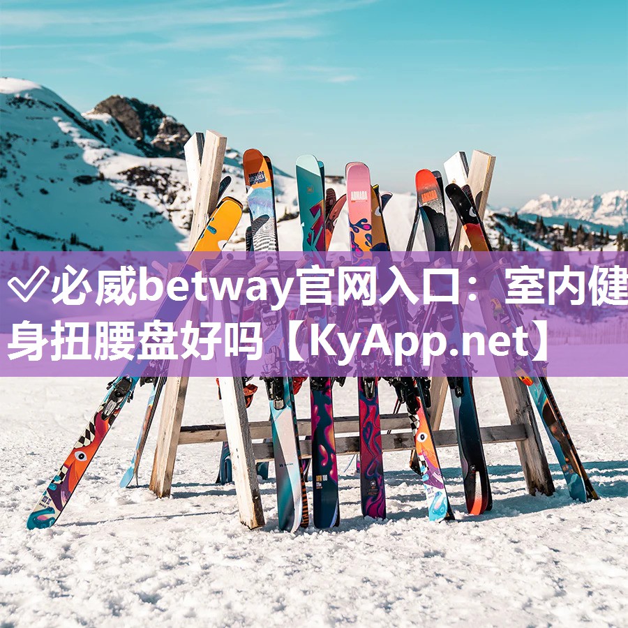 室內健身扭腰盤好嗎