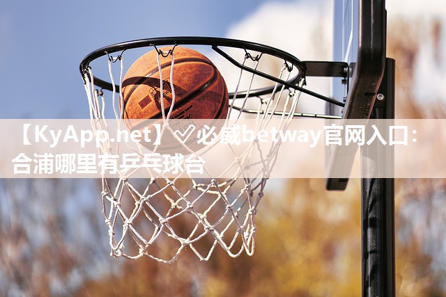 合浦哪里有乒乓球臺