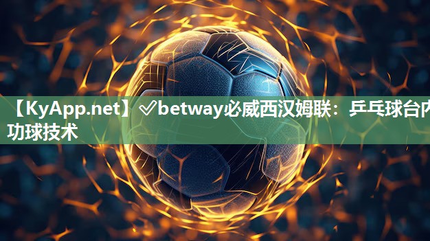 乒乓球臺內(nèi)功球技術(shù)