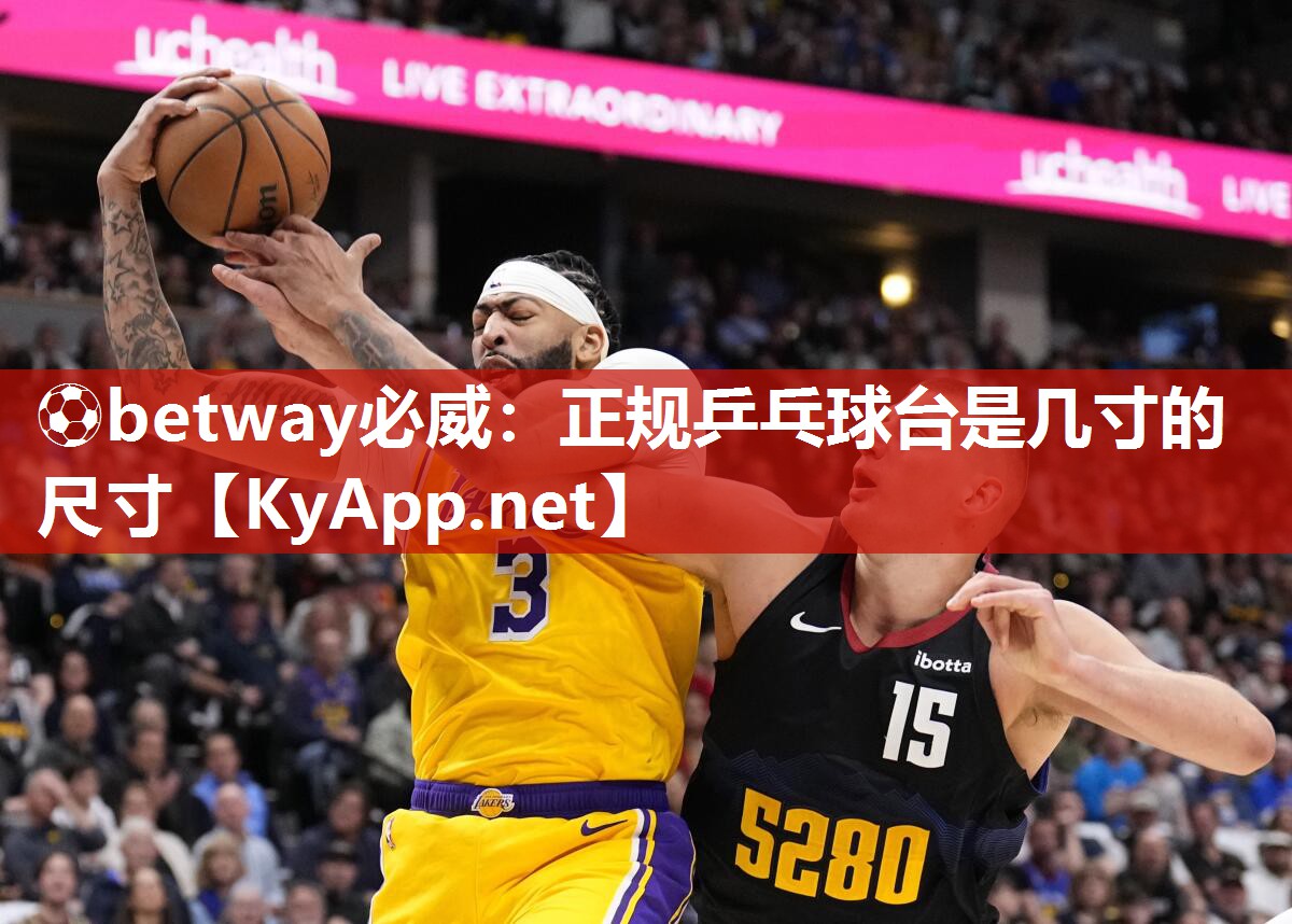 正規乒乓球臺是幾寸的尺寸