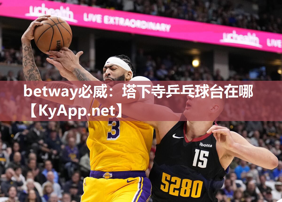 塔下寺乒乓球臺在哪