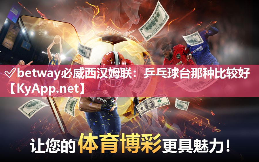 乒乓球臺那種比較好