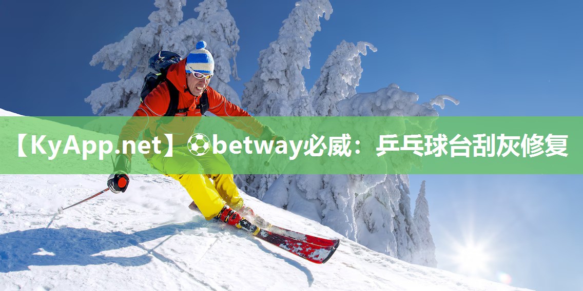 乒乓球臺刮灰修復