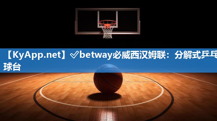 分解式乒乓球臺