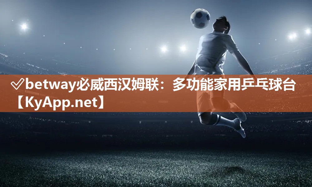 多功能家用乒乓球臺