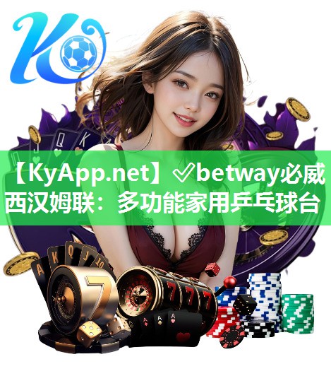 多功能家用乒乓球臺
