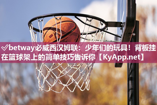 少年們的玩具！背板掛在籃球架上的簡單技巧告訴你