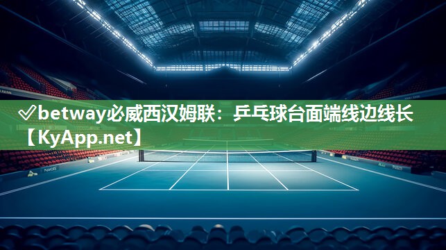 乒乓球臺面端線邊線長