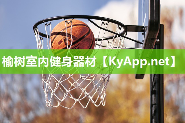 榆樹室內健身器材