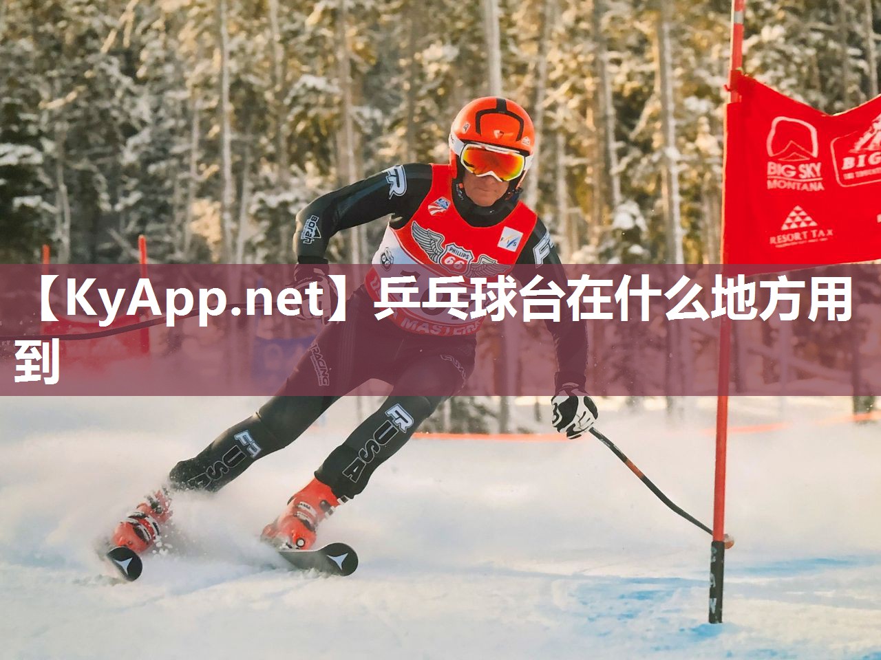 乒乓球臺在什么地方用到
