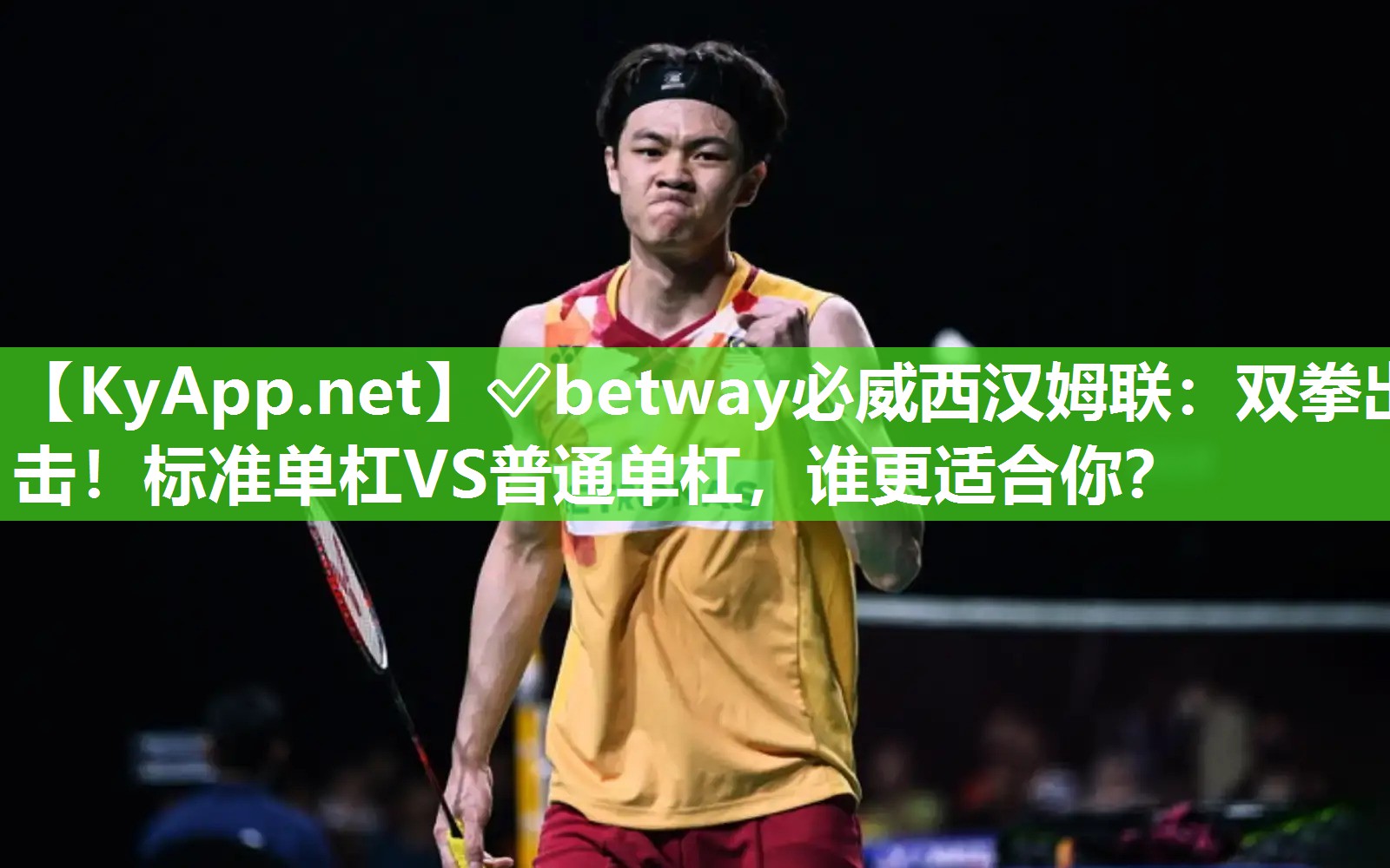 雙拳出擊！標(biāo)準(zhǔn)單杠VS普通單杠，誰更適合你？