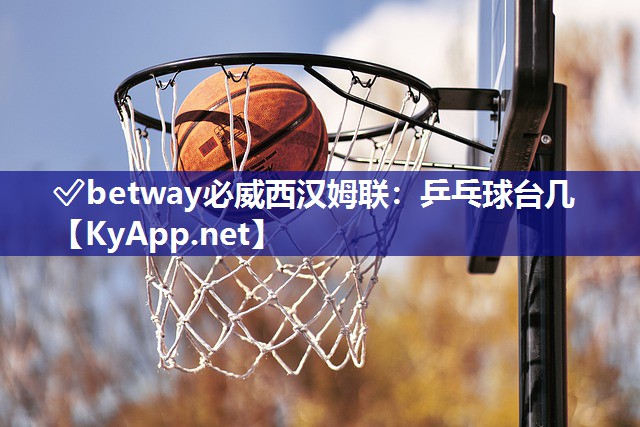 乒乓球臺幾