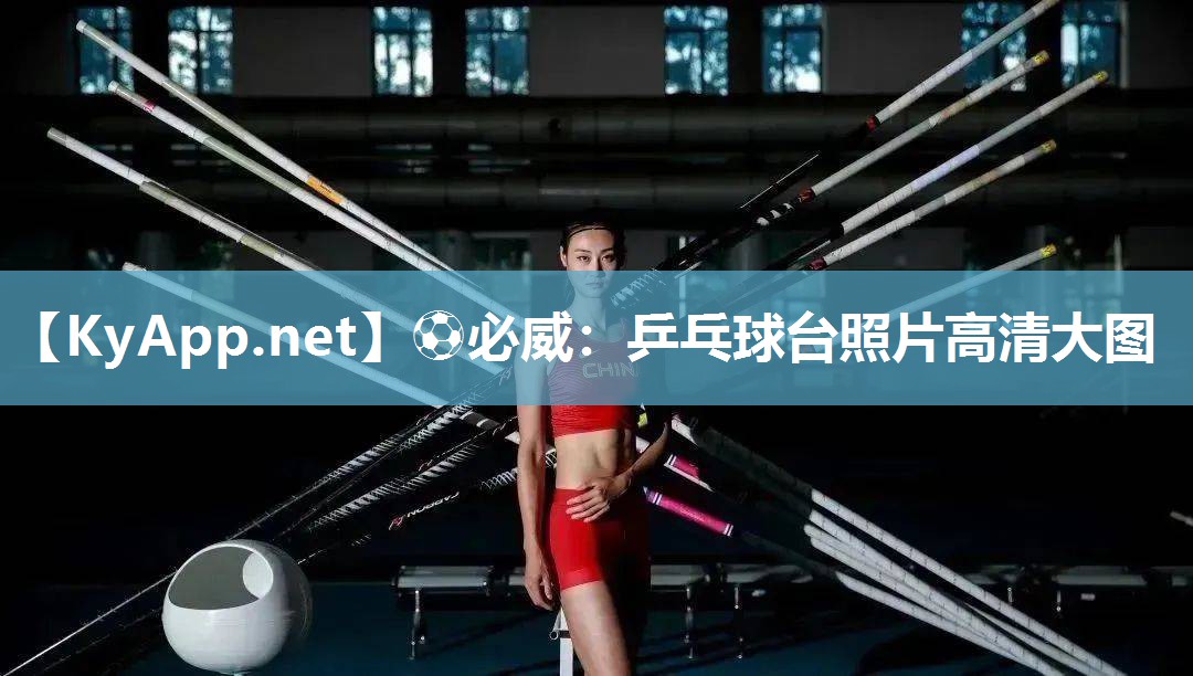 乒乓球臺照片高清大圖