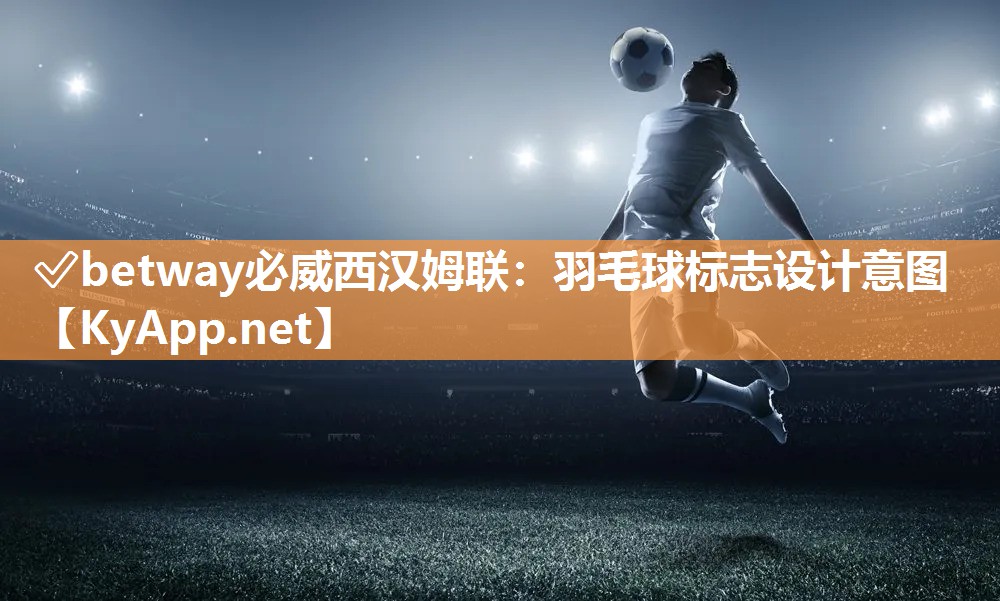 羽毛球標(biāo)志設(shè)計(jì)意圖