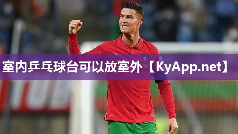 室內乒乓球臺可以放室外
