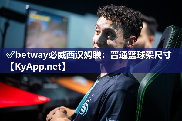 普通籃球架尺寸