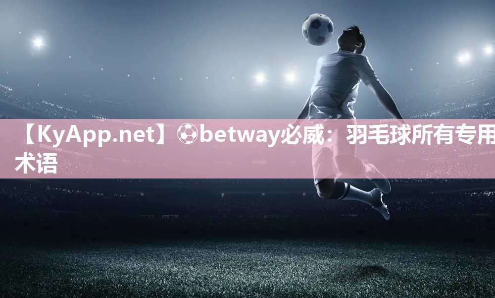 羽毛球所有專用術語