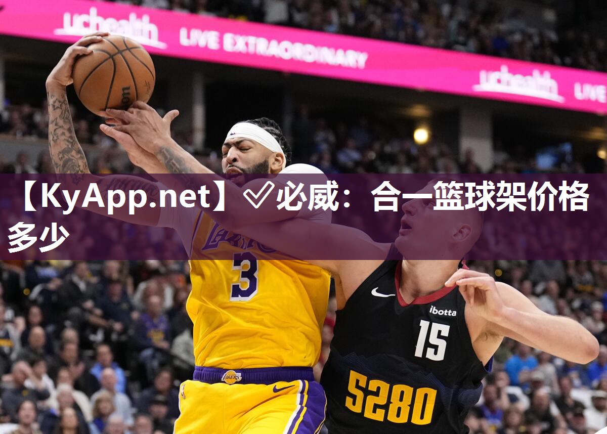 合一籃球架價格多少
