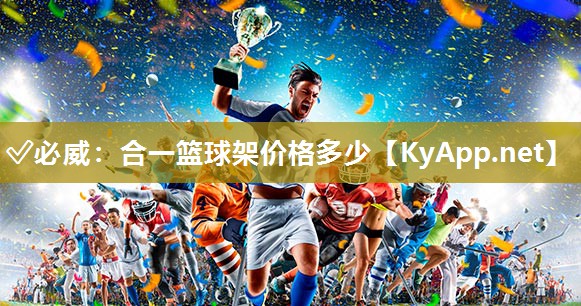 合一籃球架價格多少
