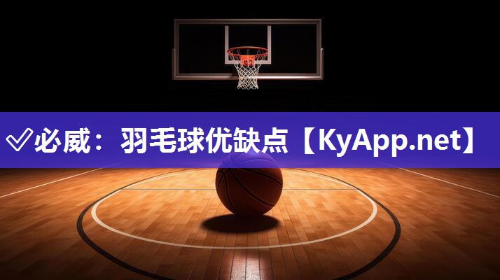 羽毛球優缺點