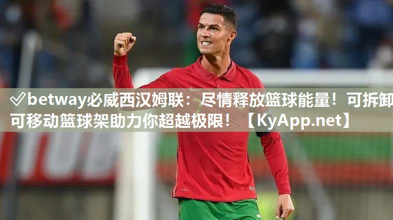 盡情釋放籃球能量！可拆卸可移動籃球架助力你超越極限！
