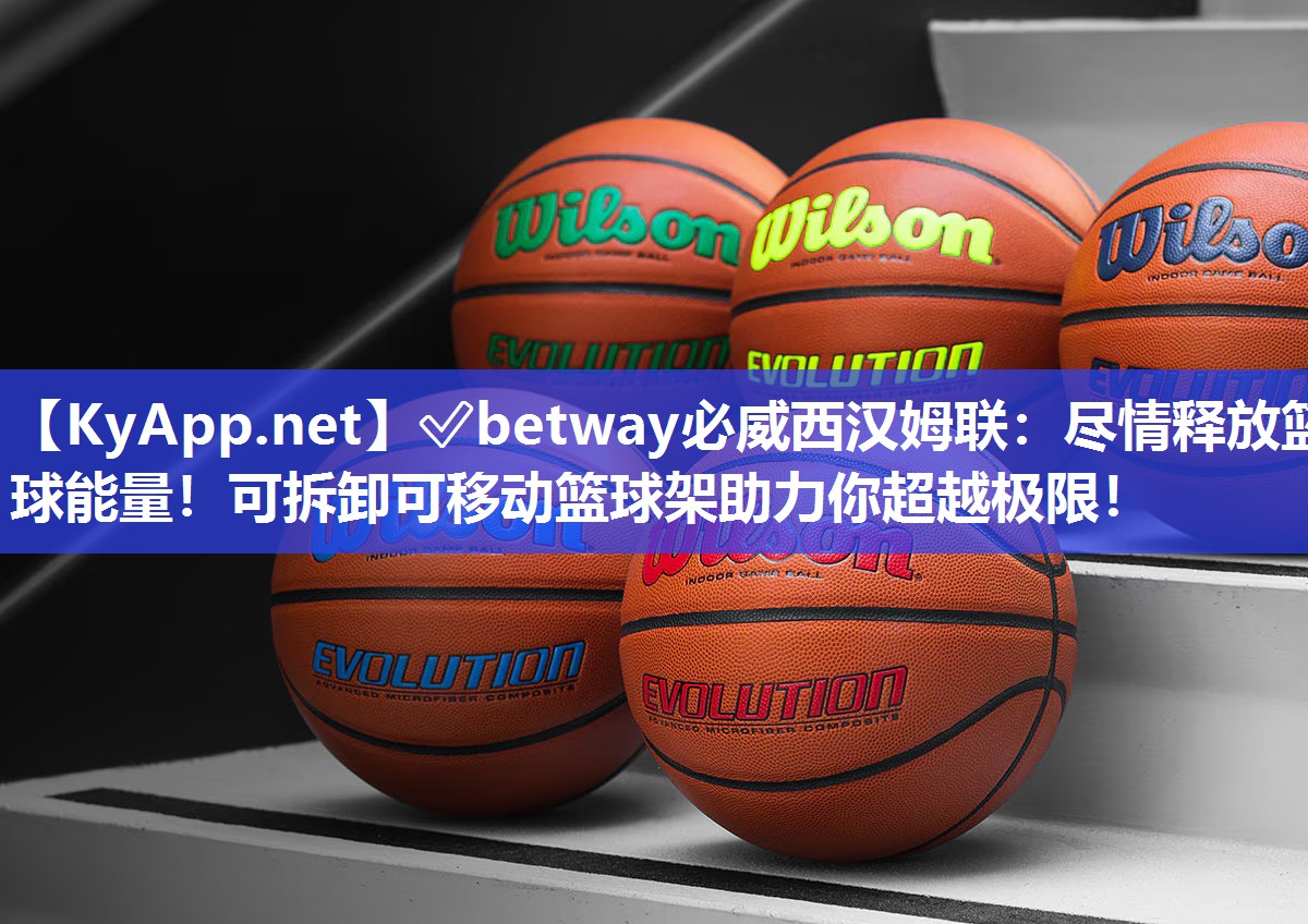 盡情釋放籃球能量！可拆卸可移動籃球架助力你超越極限！